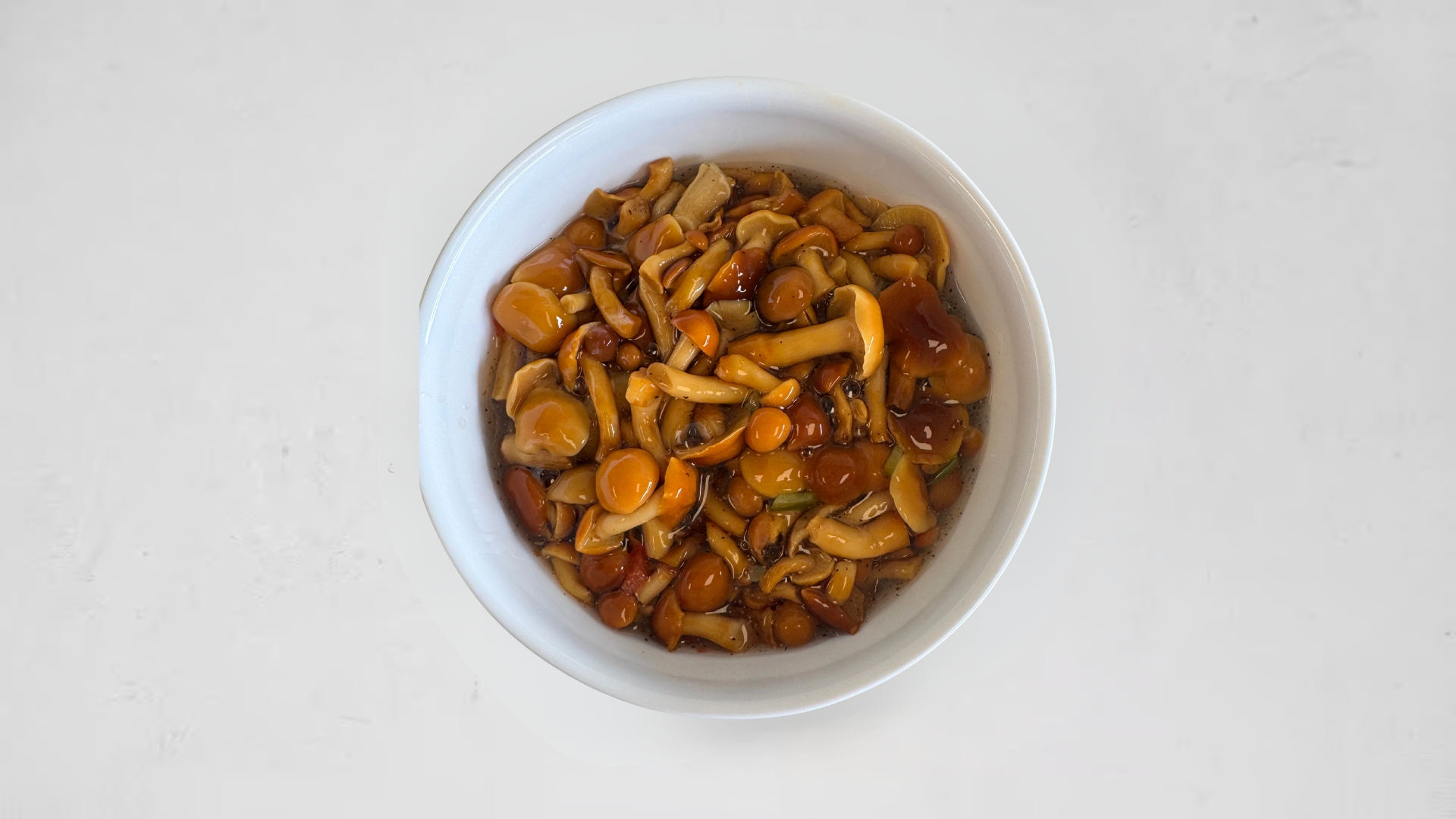 Opyata Mushrooms